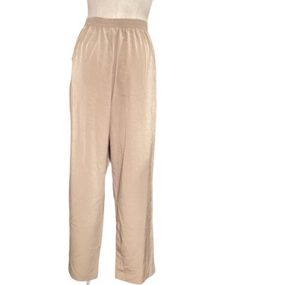 NWT Susan Graver Sz P1X Beige Silky Polyester Pull-On Straight Leg Pants 60X - Picture 5 of 7